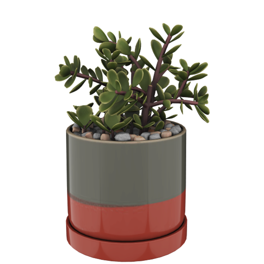 augment 3d